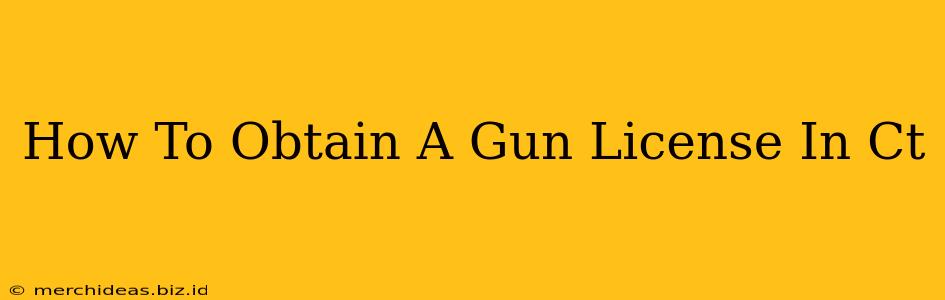 How To Obtain A Gun License In Ct