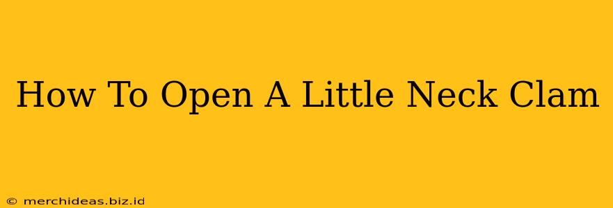 How To Open A Little Neck Clam