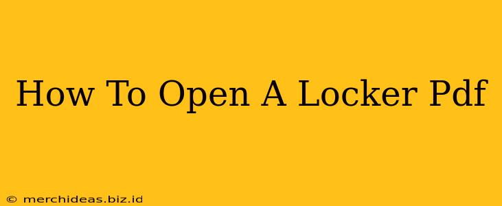 How To Open A Locker Pdf