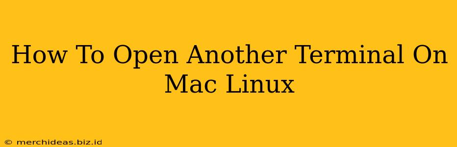 How To Open Another Terminal On Mac Linux