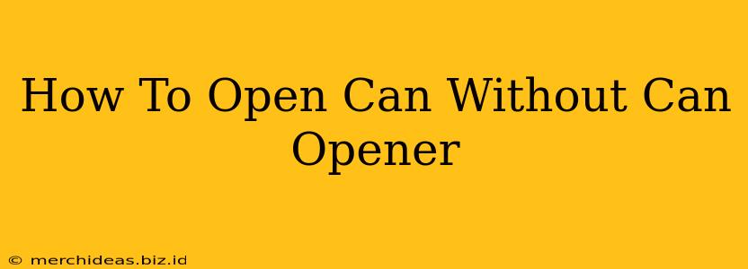 How To Open Can Without Can Opener