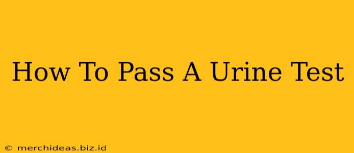 How To Pass A Urine Test