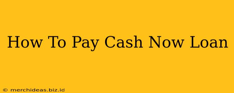 How To Pay Cash Now Loan