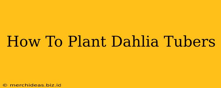 How To Plant Dahlia Tubers