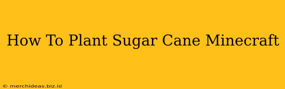 How To Plant Sugar Cane Minecraft