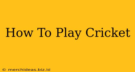 How To Play Cricket