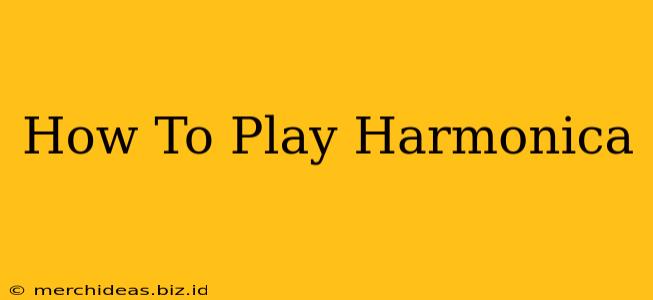 How To Play Harmonica