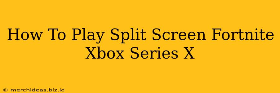 How To Play Split Screen Fortnite Xbox Series X