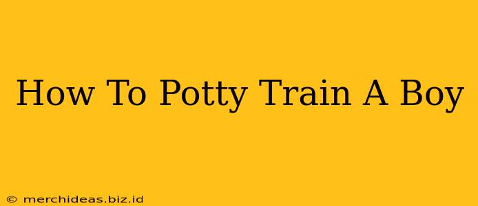 How To Potty Train A Boy