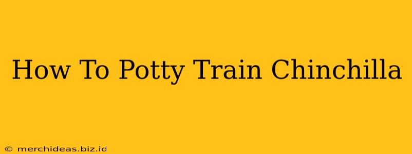 How To Potty Train Chinchilla