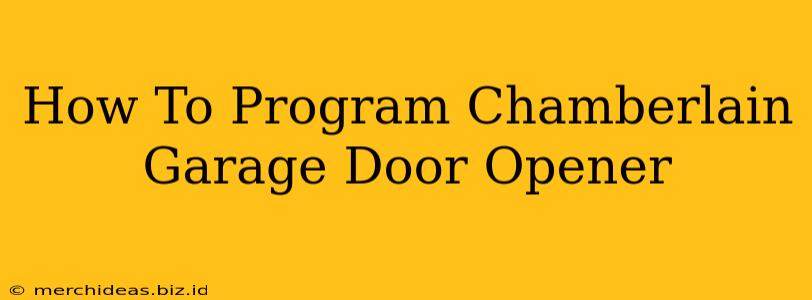 How To Program Chamberlain Garage Door Opener