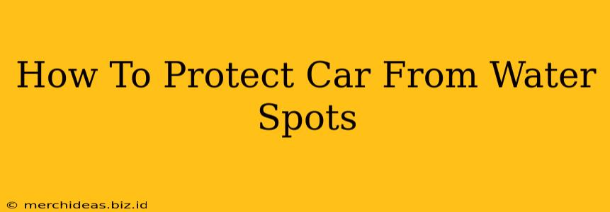 How To Protect Car From Water Spots