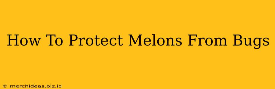 How To Protect Melons From Bugs