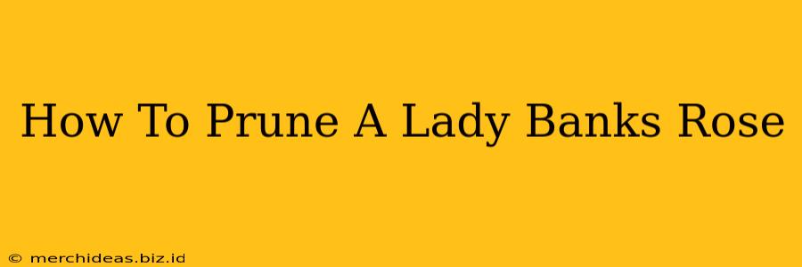 How To Prune A Lady Banks Rose