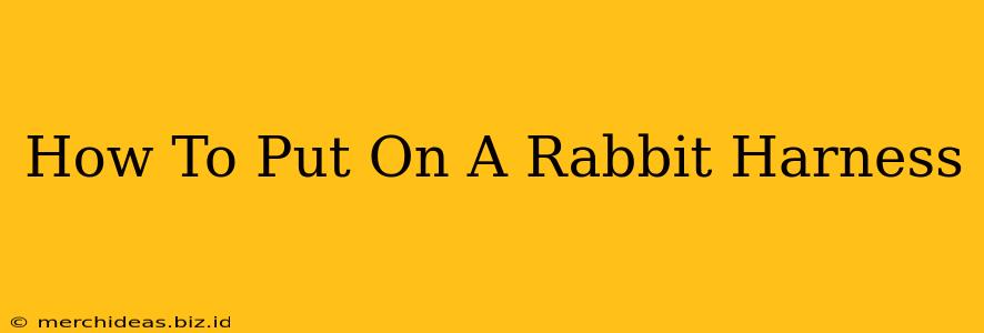 How To Put On A Rabbit Harness
