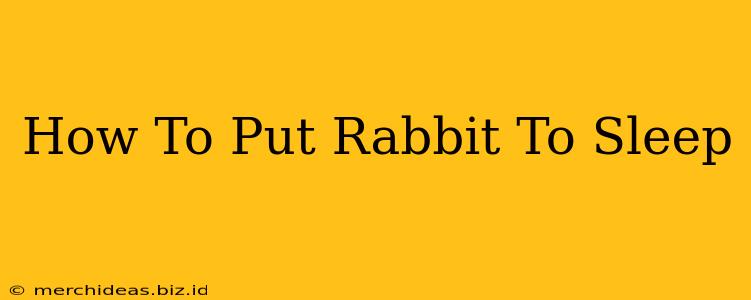 How To Put Rabbit To Sleep