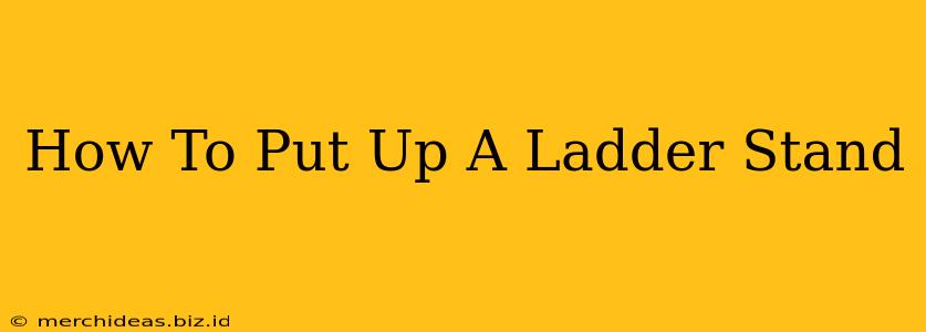 How To Put Up A Ladder Stand