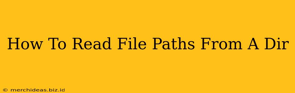 How To Read File Paths From A Dir