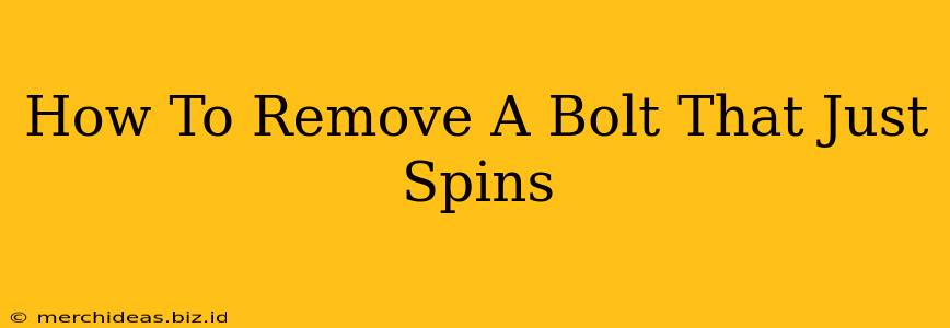 How To Remove A Bolt That Just Spins