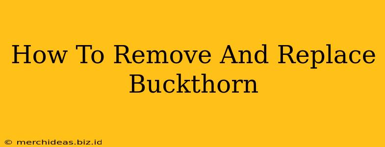 How To Remove And Replace Buckthorn