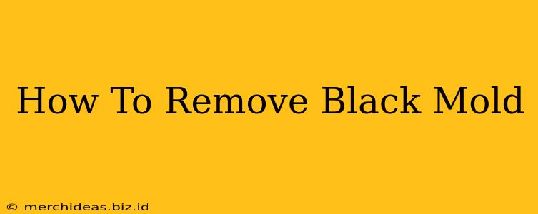 How To Remove Black Mold