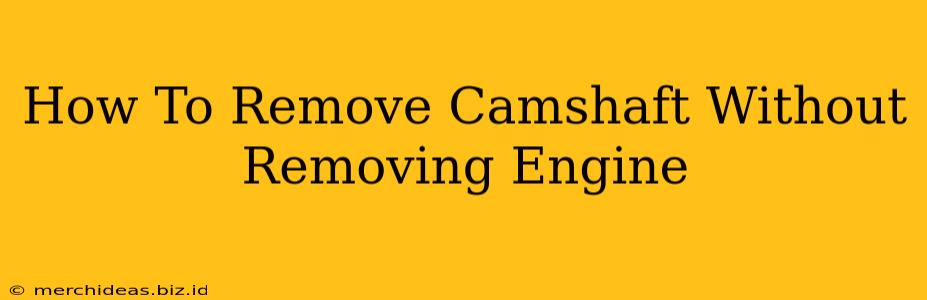 How To Remove Camshaft Without Removing Engine