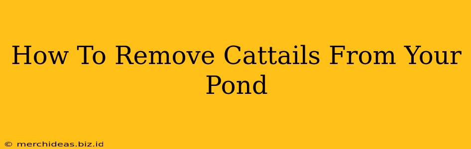How To Remove Cattails From Your Pond