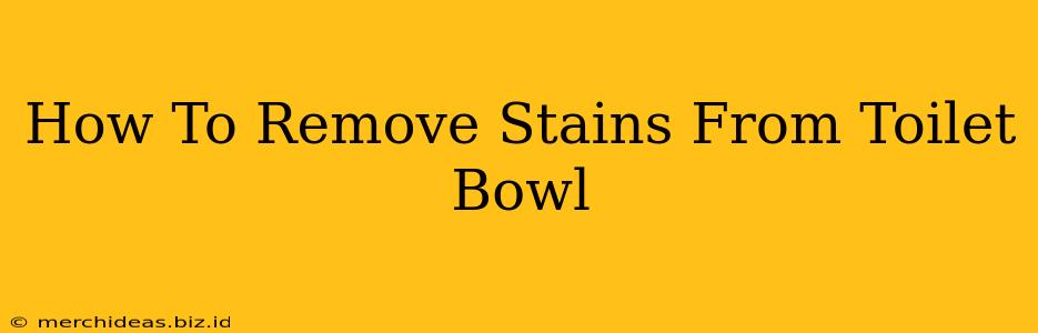 How To Remove Stains From Toilet Bowl