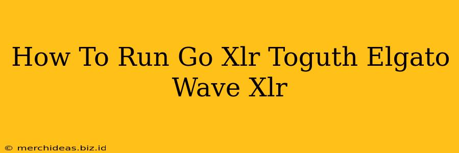 How To Run Go Xlr Toguth Elgato Wave Xlr