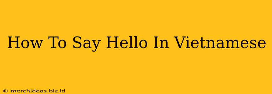 How To Say Hello In Vietnamese