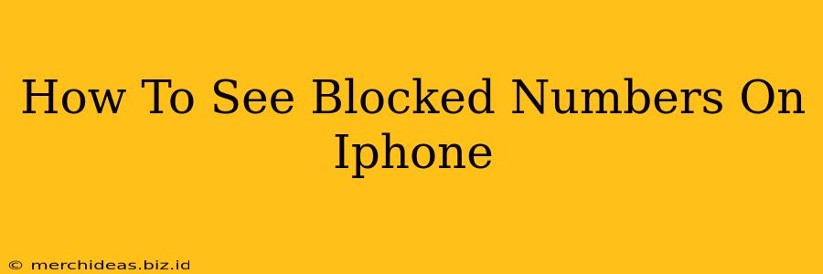 How To See Blocked Numbers On Iphone