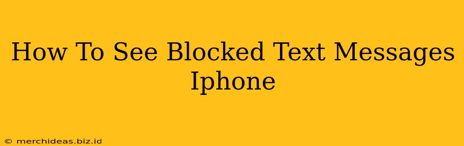 How To See Blocked Text Messages Iphone