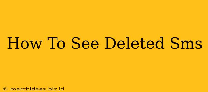 How To See Deleted Sms