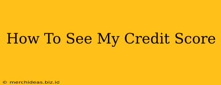 How To See My Credit Score