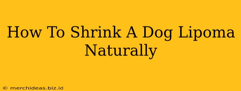 How To Shrink A Dog Lipoma Naturally