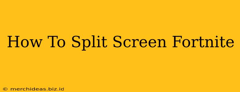 How To Split Screen Fortnite