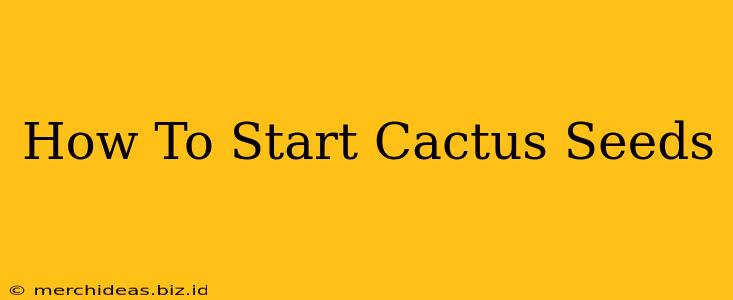 How To Start Cactus Seeds