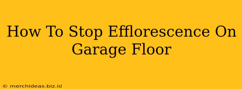 How To Stop Efflorescence On Garage Floor
