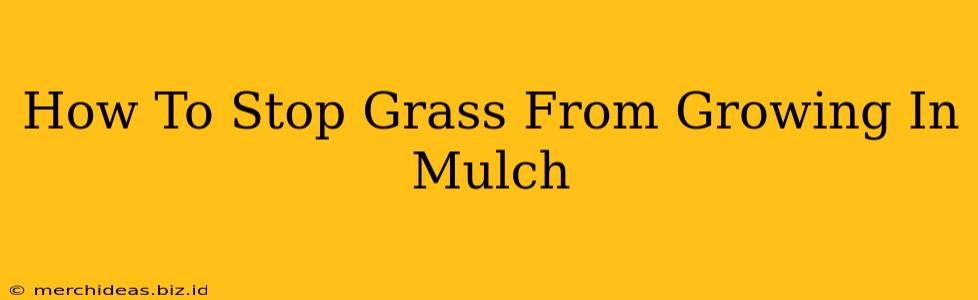 How To Stop Grass From Growing In Mulch