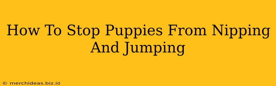 How To Stop Puppies From Nipping And Jumping