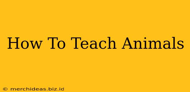 How To Teach Animals
