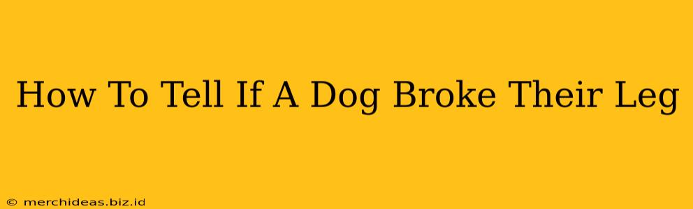 How To Tell If A Dog Broke Their Leg