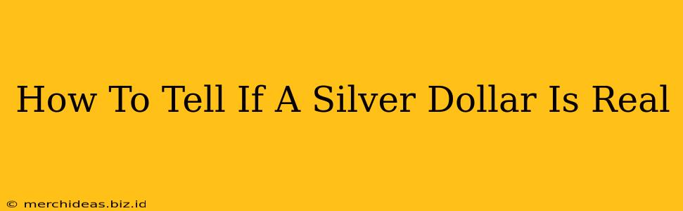 How To Tell If A Silver Dollar Is Real