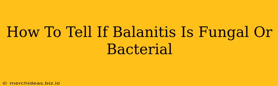 How To Tell If Balanitis Is Fungal Or Bacterial