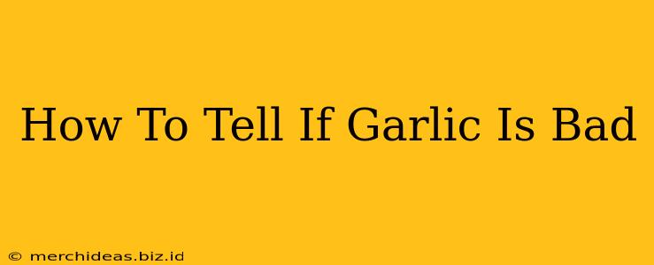 How To Tell If Garlic Is Bad