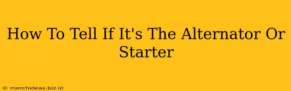 How To Tell If It's The Alternator Or Starter
