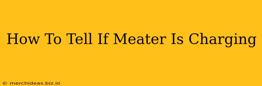 How To Tell If Meater Is Charging