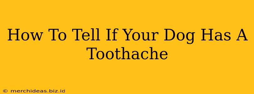 How To Tell If Your Dog Has A Toothache