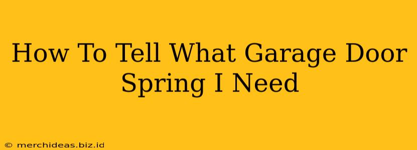 How To Tell What Garage Door Spring I Need