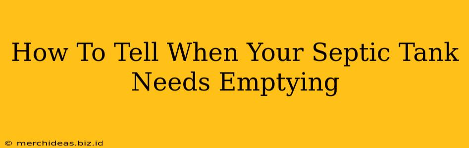 How To Tell When Your Septic Tank Needs Emptying